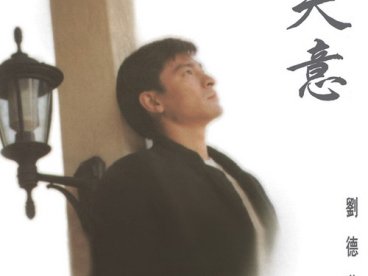 1994-天意
